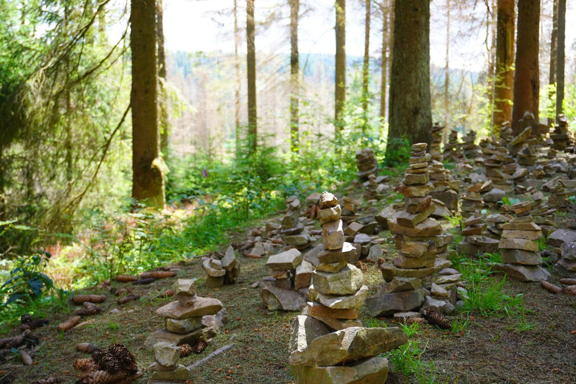 Modern & Vintage Bocksbergblick Ferienpark Hahnenklee Goslar Bagian luar foto